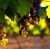 10 tipos de uvas utilizadas na produção de vinhos