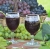 Uvas protegidas: qualidade e sabor