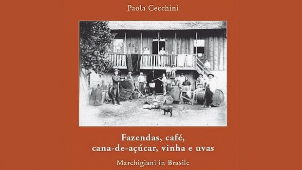 Fazendas café cana de açúcar vinha e uvas Marchigiani in Brasile Oriundi net