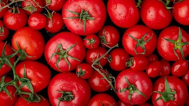 Campanha sobre excelência do tomate italiano é lançada em BH 