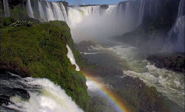 Olhar Naturalista sobre o Brasil de Hoje