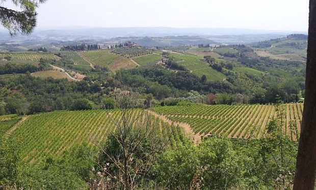 San Gimignano: União perfeita entre a cultura e os prazeres da mesa