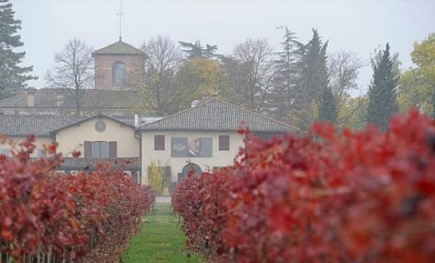 Lambrusco e Gruppo Chiarli, una storia lunga 160 anni