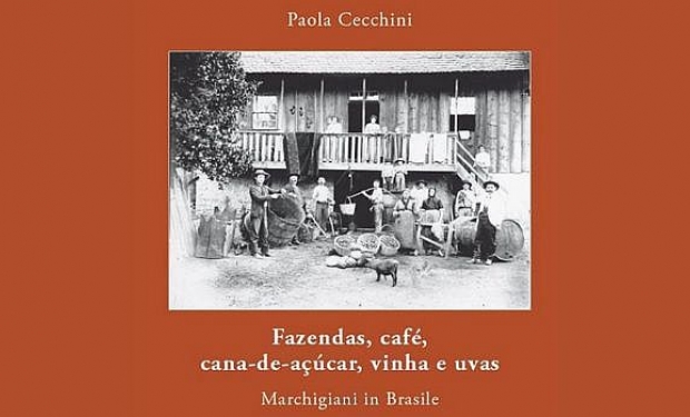 Fazendas, café, cana-de-açúcar, vinha e uvas: Marchigiani in Brasile 