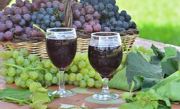 Uvas protegidas: qualidade e sabor